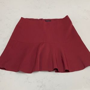 Theory Mini Skirt